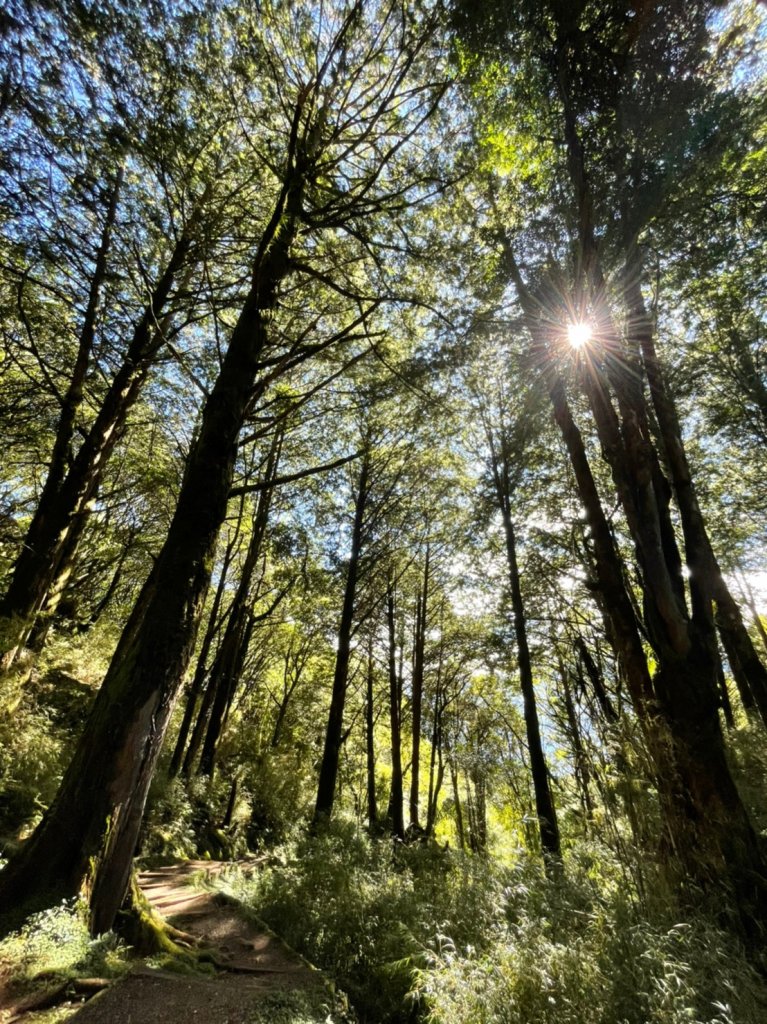 小百岳(59)-大塔山-20220925_1878670