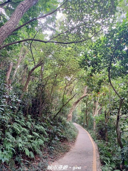 【彰化田中】蓊鬱森林有點陡。 田中森林登山步道_1925565