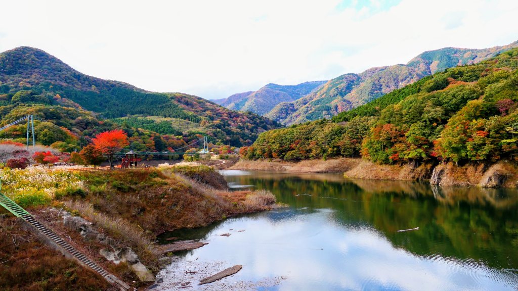 栃木縣紅葉谷大吊橋封面圖