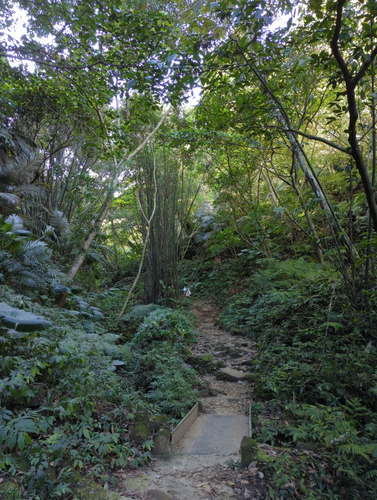 2022.12.24－石門山&石門水庫楓林步道_1966041