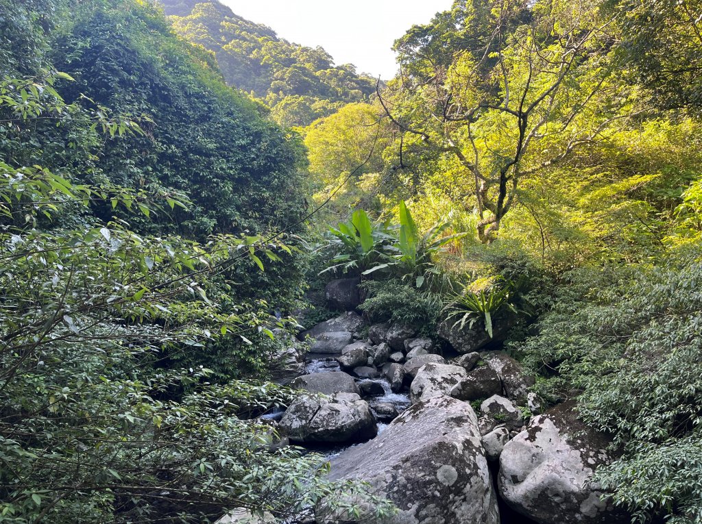 [走遍陽明山]2023_0910_坪頂古圳步道_2279403