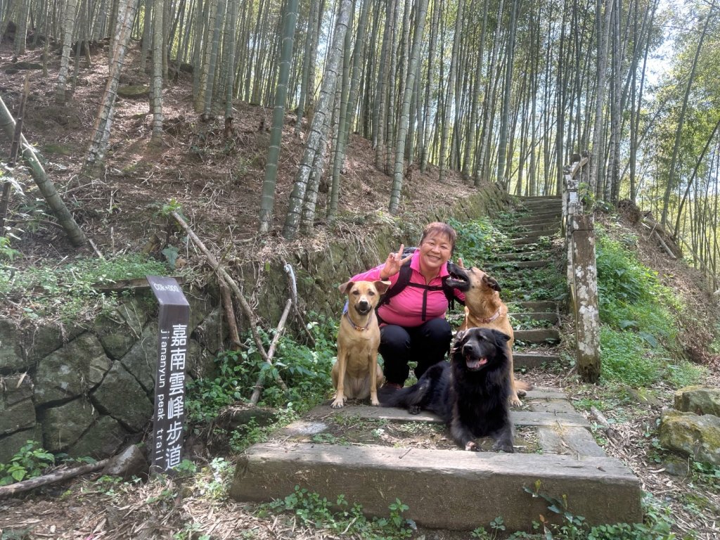 嘉南雲峰、九穹神木_3014487