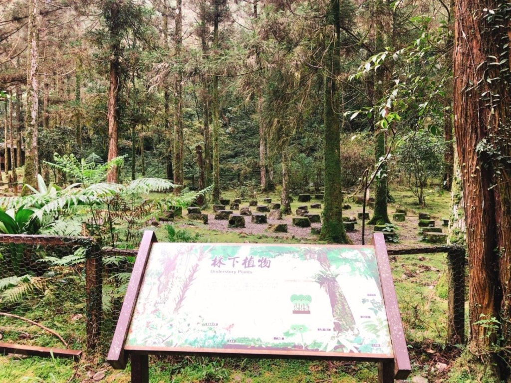 福山植物園_511011