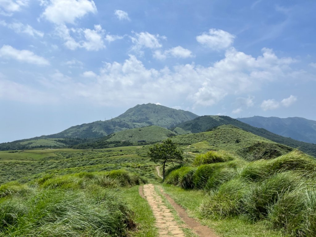 頂山-石梯嶺步道封面圖