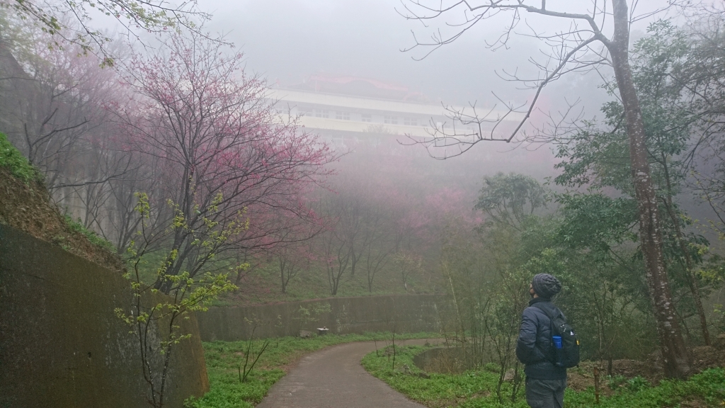 八角崠山-鳴鳳山古道_265617