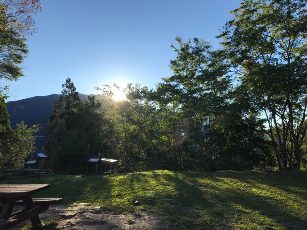 瓦拉米步道。蕨美的奇幻旅程_1483950