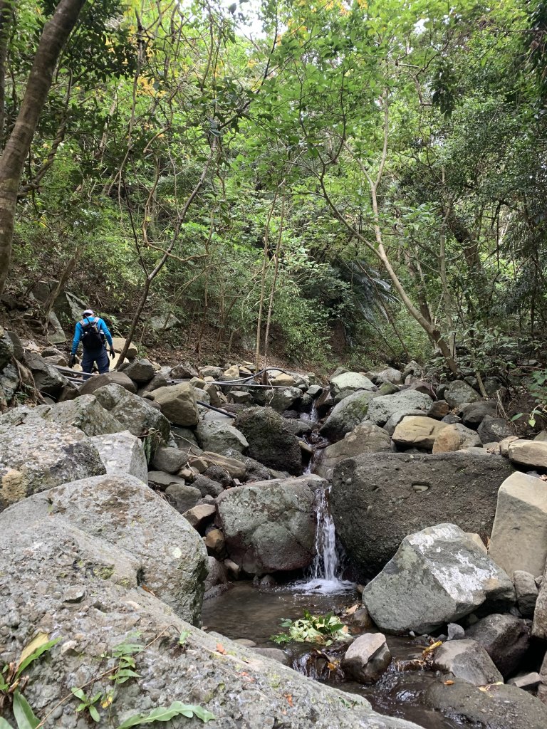 20260124屏東老佛山-老佛山南峰_2992232
