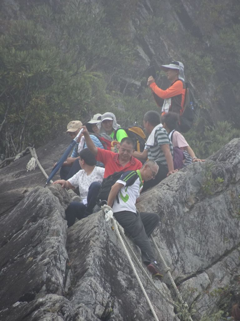 中級山尋幽~台中和平區鳶嘴山(第5次)_378792