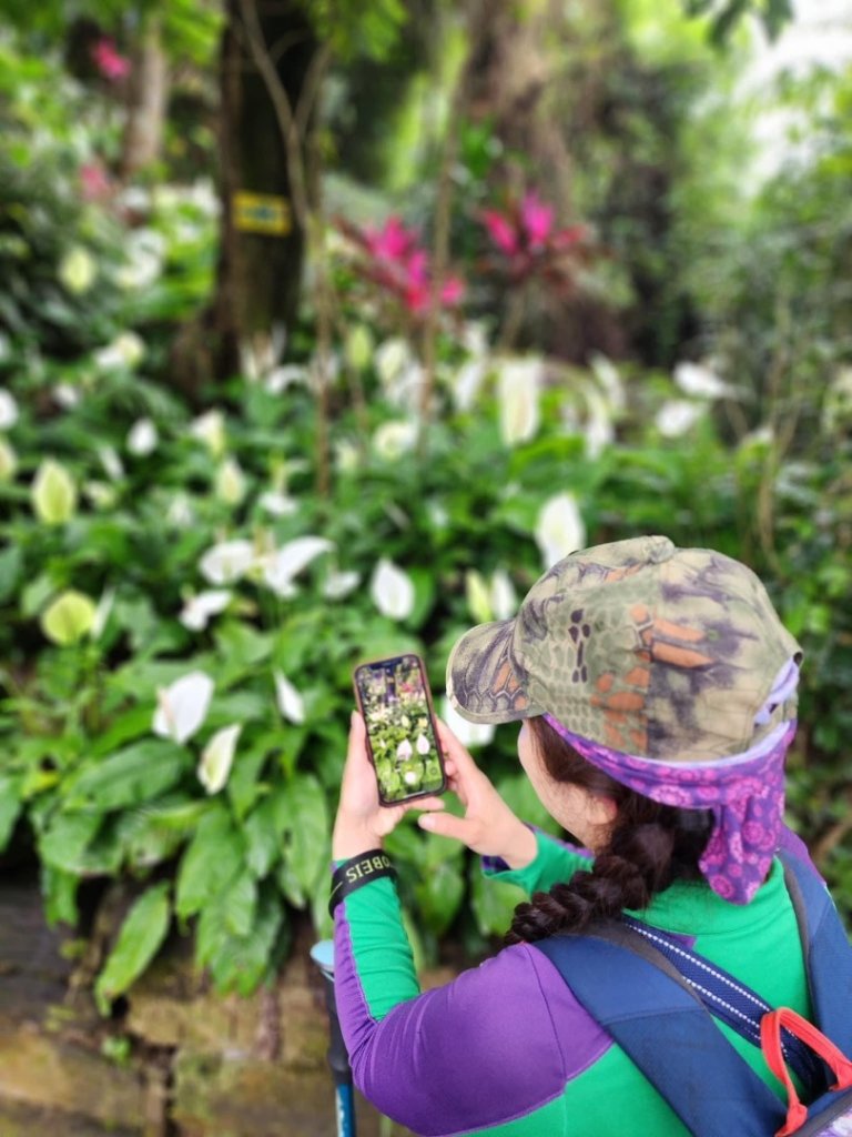 和小盆友們爬山的快樂時光❤️小獅山-和美山_2598139