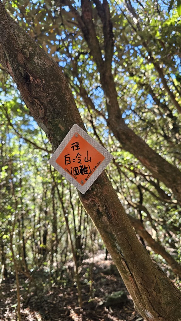【細說大雪山木馬古道】橫嶺山、沙蓮山、笛吹山O繞_2921080