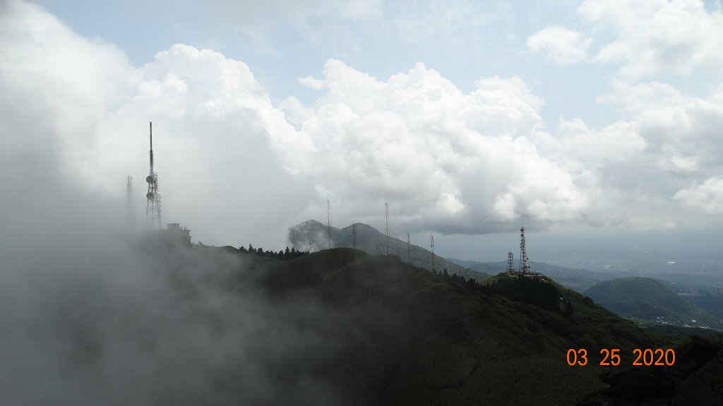 蒼天不負苦心人，再度陽明山雲海_891386