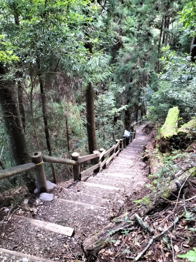 檜山巨木群步道_2250293