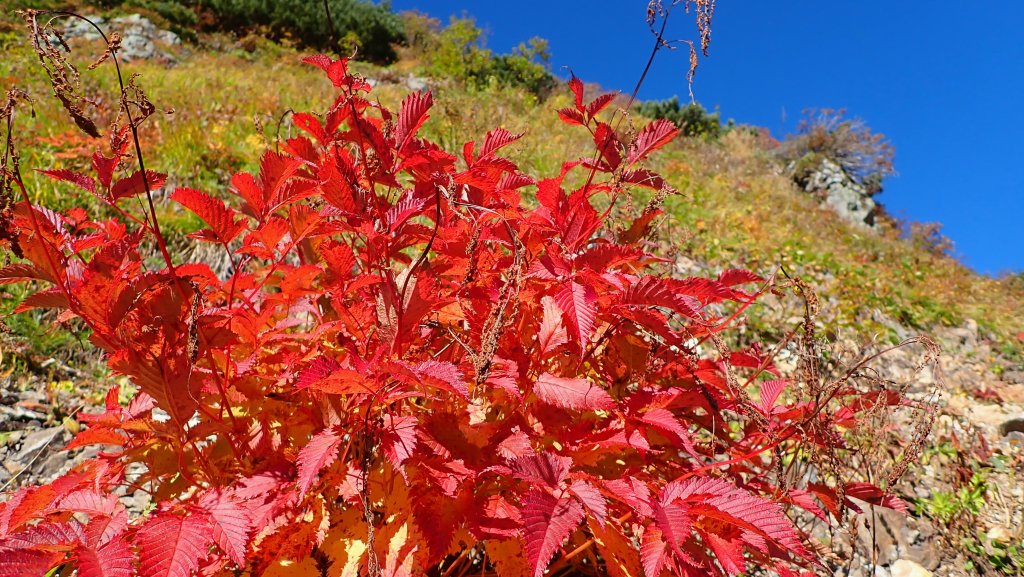 體驗日本最經典的北阿爾卑斯山脈之美燕槍穗縱走_2964602