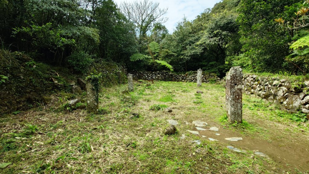 20260125 陽明山前後山健行(無極天元宮~山仔頂步道.向天池.向天山.面天山.二子坪)_2998050