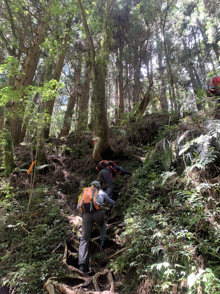 20250517義義兒玉山-東水山_2791633
