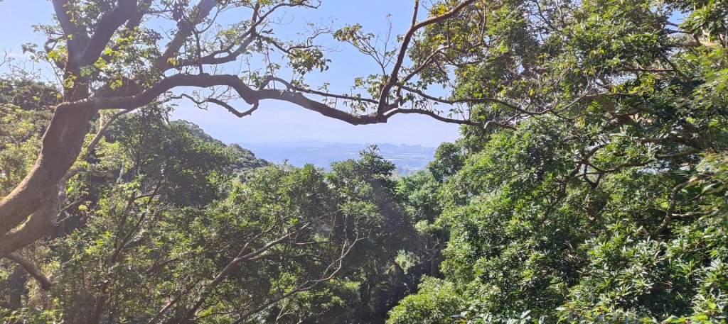 林梢步道_2700687