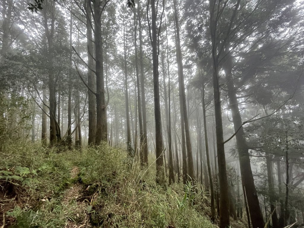 阿里山三霞 -- 楠梓仙溪左岸 南霞山_1490303