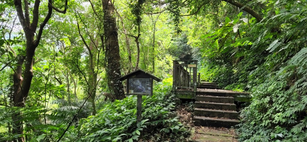 新竹馬胎古道，南坪古道，高峰植物園，青草湖，苗栗虎山，老崎坪頂山，老崎古道，梅后蔓瀑布_1815032