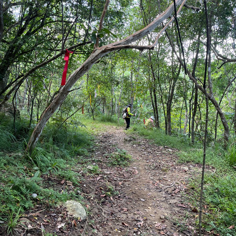 20251012_八里灣山（花蓮小百岳）_2941306