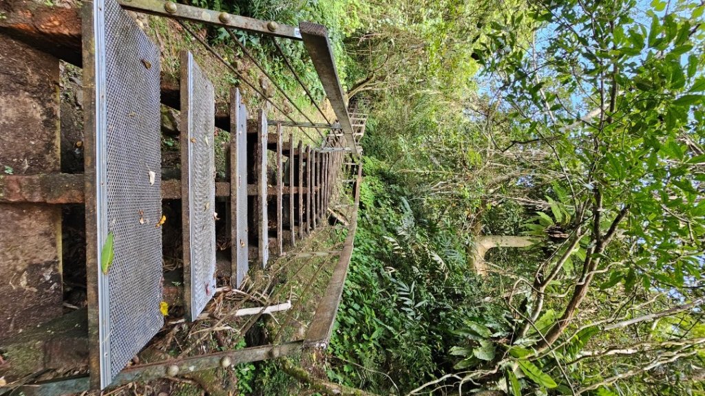 【爬山會爬上癮】五刷小百岳#089鯉魚山。_2824757