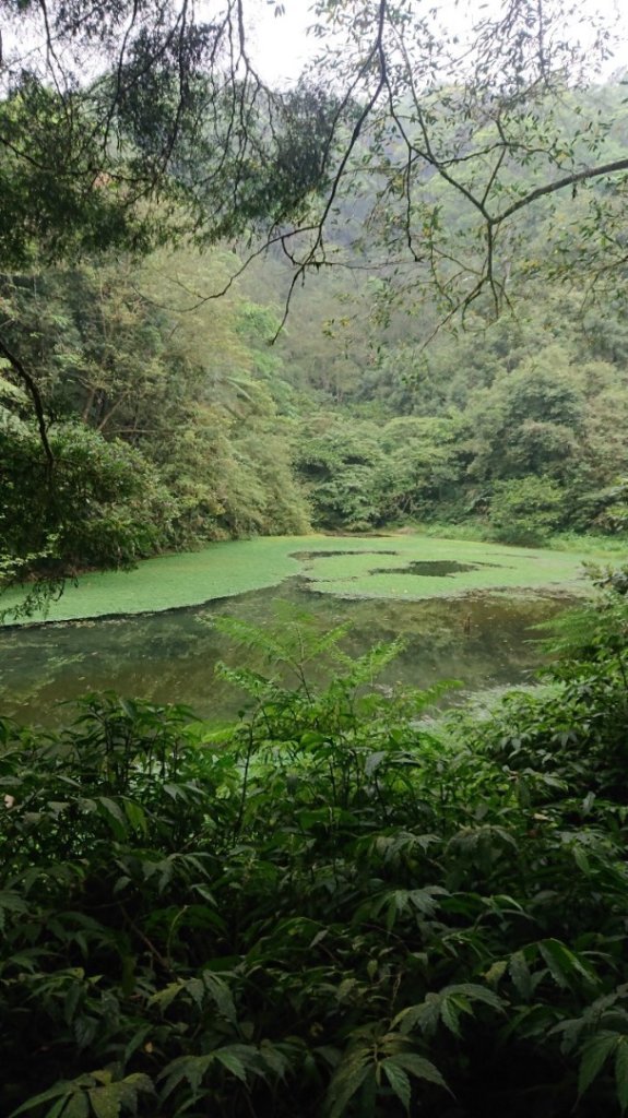 冷埤、粗坑山_2542646