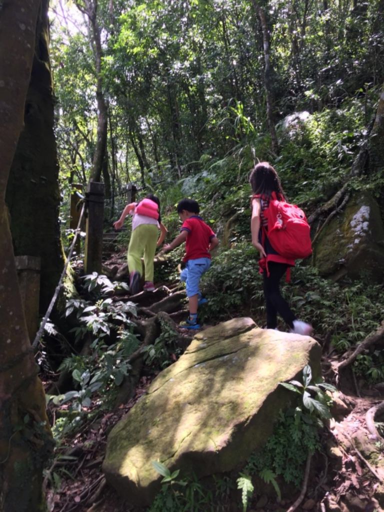 獅仔頭山隘勇線登山步道 小百岳No.20封面圖