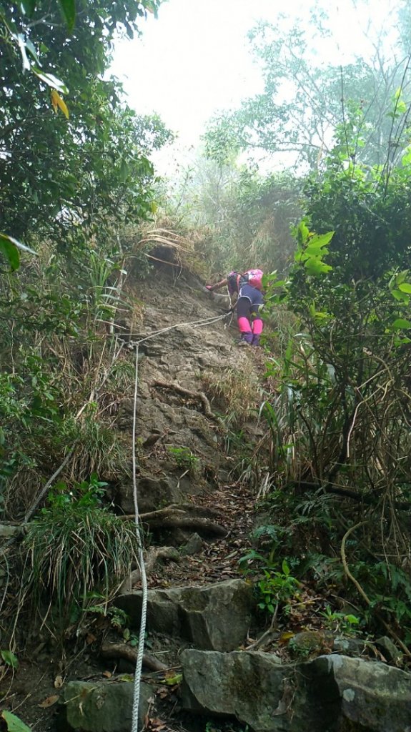 小百岳【三腳南山】_915765