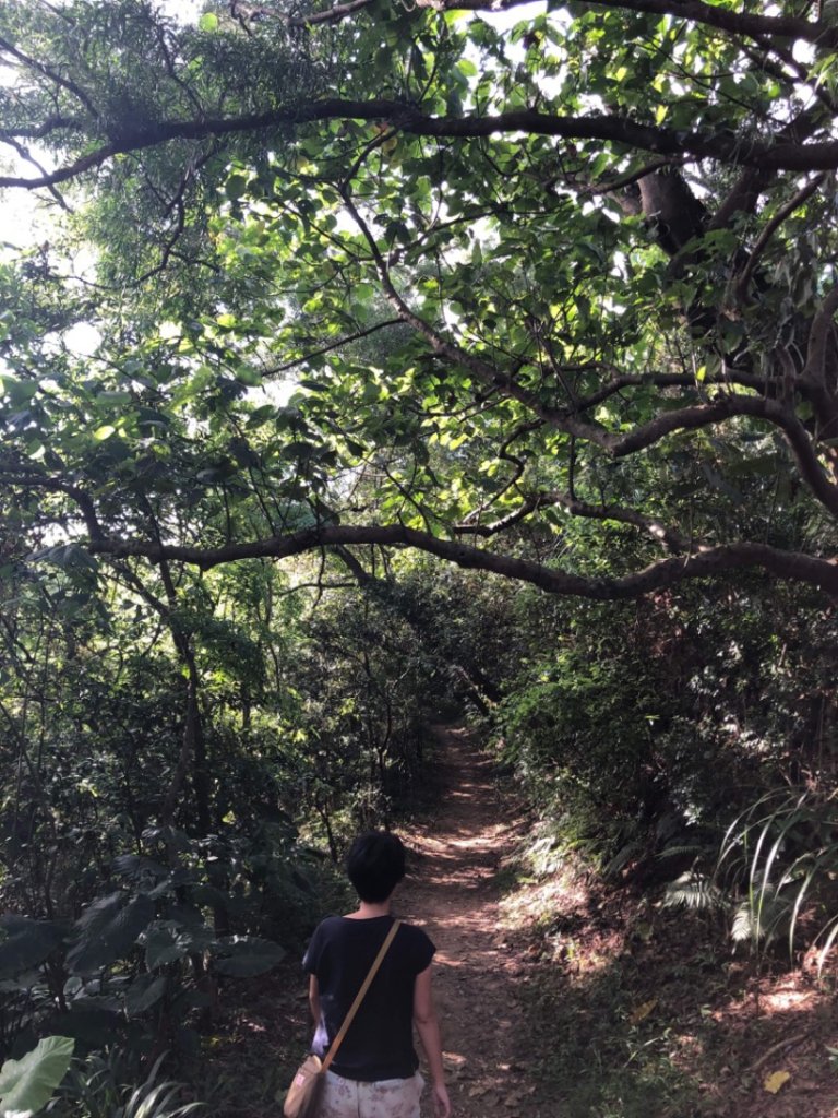 富陽公園（福山）封面圖