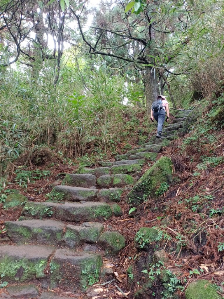 走遍陽明山封面圖