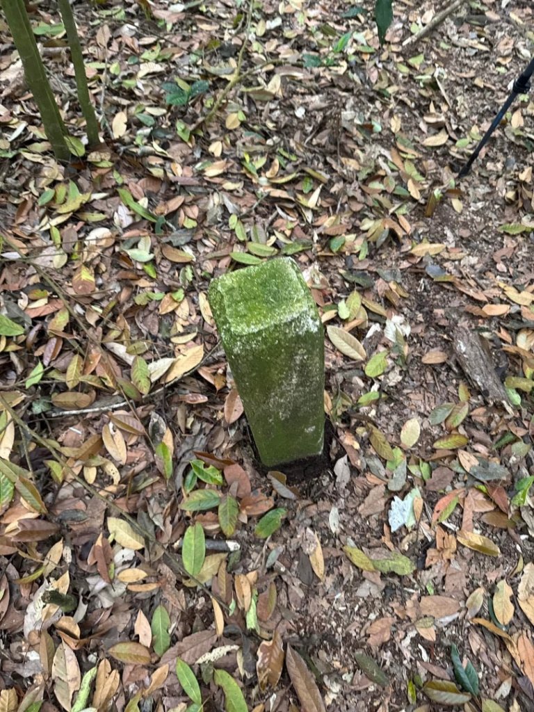 巴蜈縱走_2936560