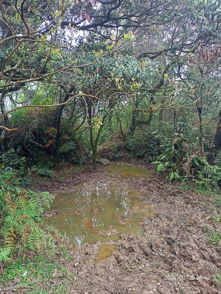 【臺北大縱走 3】擎天崗→石梯嶺→頂山→風櫃嘴_2468736
