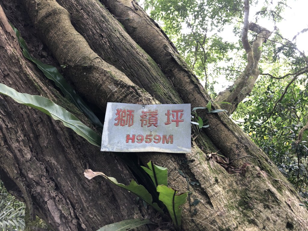 關仔嶺大凍山步道走曾文水庫O型_1611846