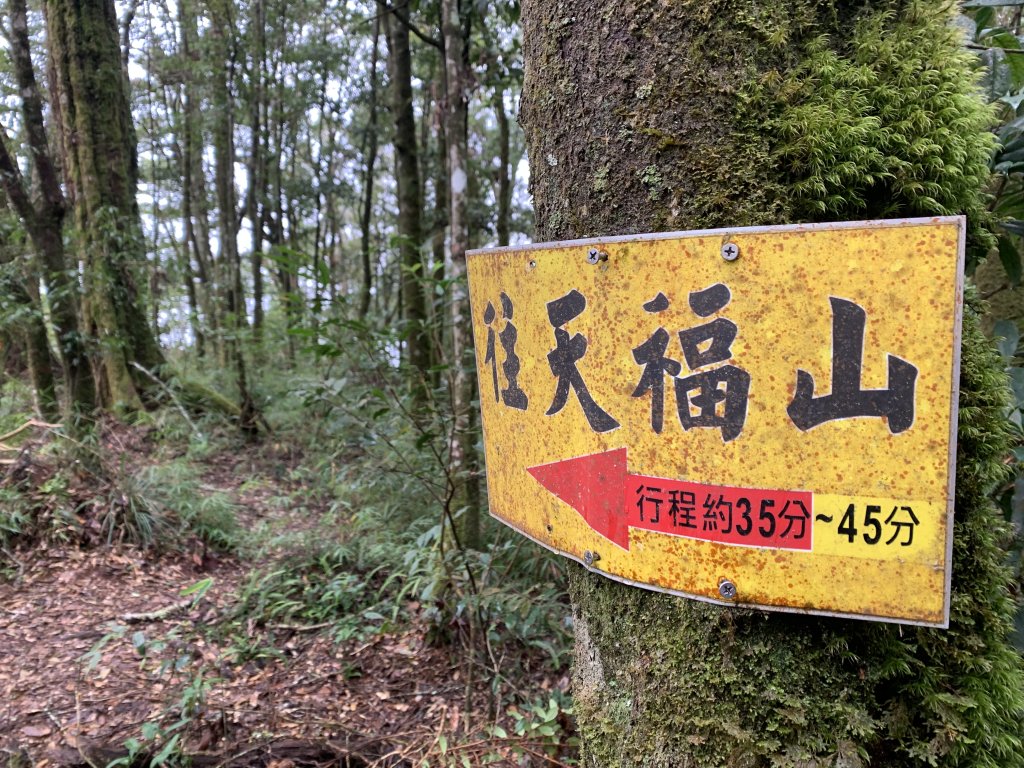 20251220嘉義凸龜山-芙蓉山-天福山_2973814