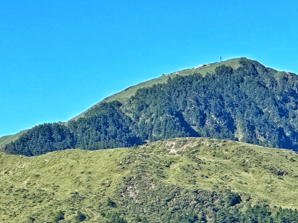 合歡北峰 盛夏之美_2544918