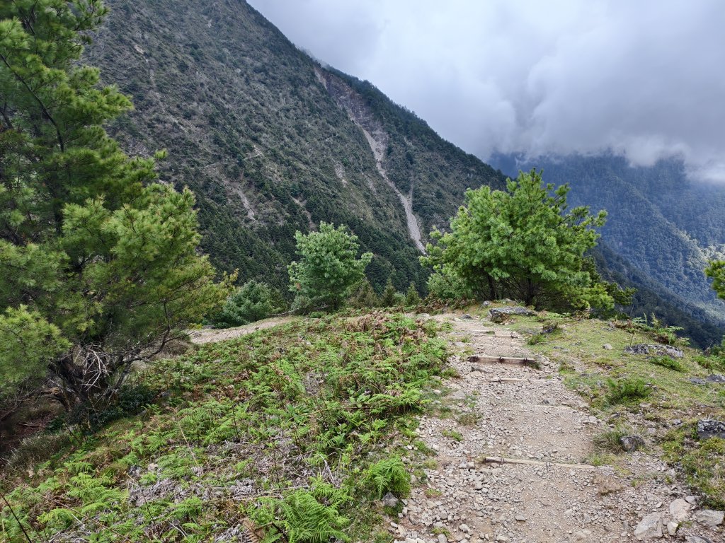 [玉山尋寶任務-09/12] 2025_0928 麟趾山步道_2900022