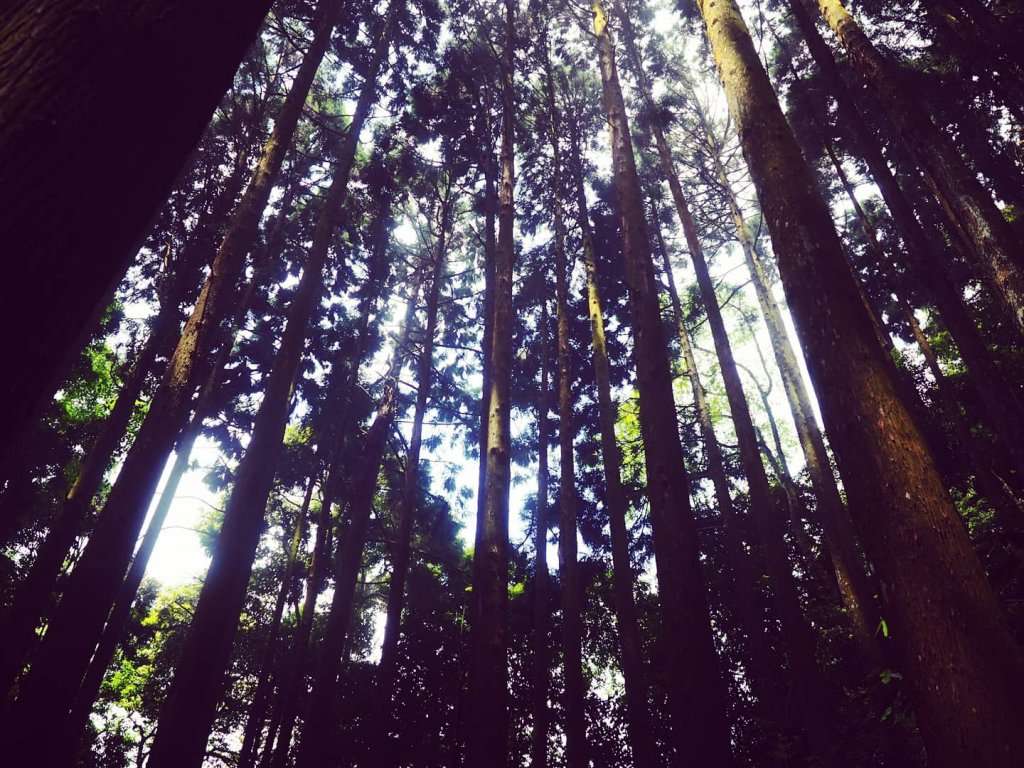 加里山_1380842