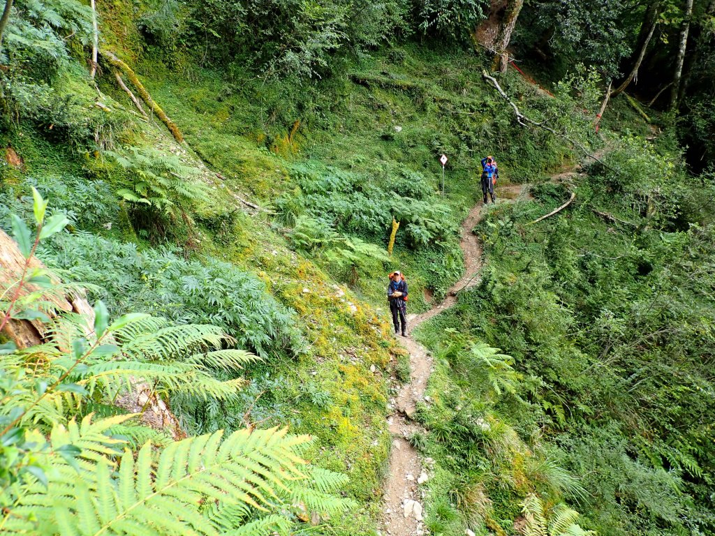 10年後重逢八通關山（八大秀未竟）_467213