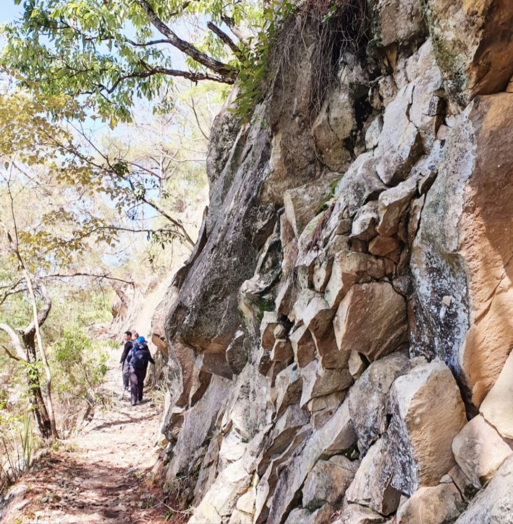 【中級山】谷關七雄東卯山_2740994