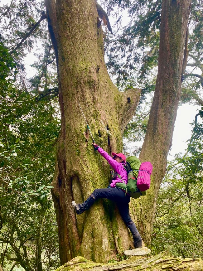啟動高山度假模式~金牌三小隊之馬博橫斷8日_2964856