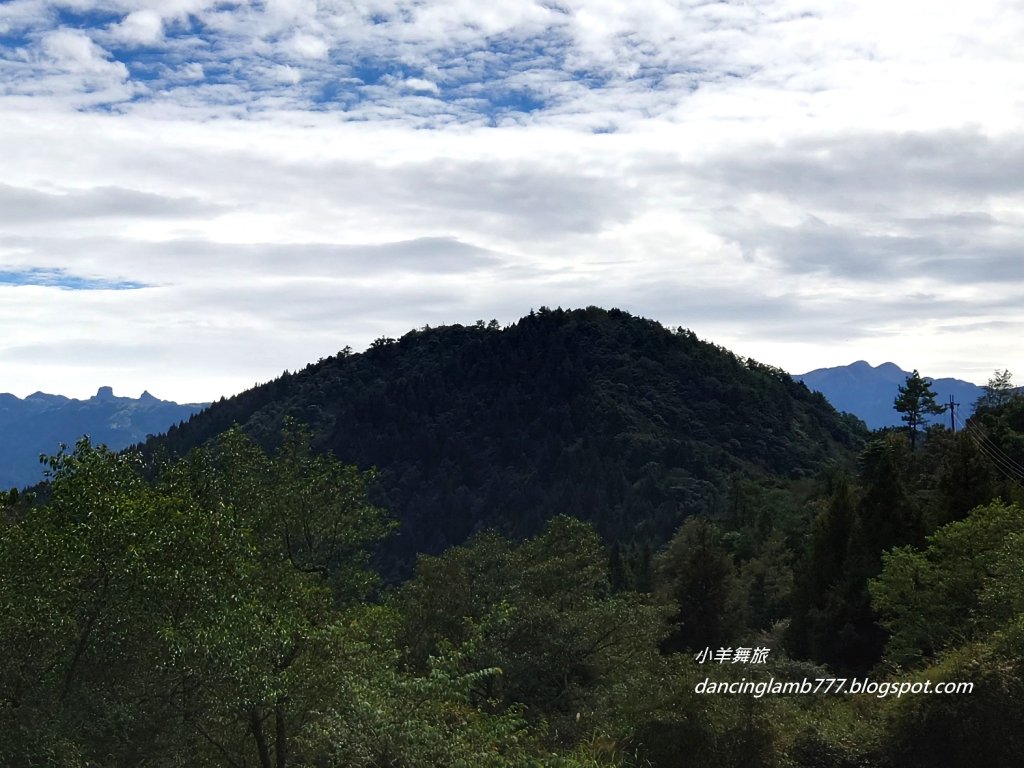 【新竹】觀霧森林遊樂區：檜山巨木群步道_2397400