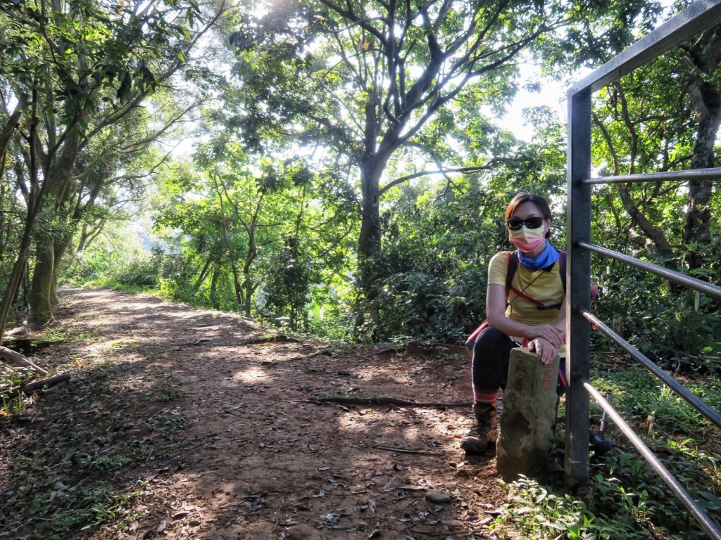 龍過脈森林步道 走一趟森.呼.吸_1453193