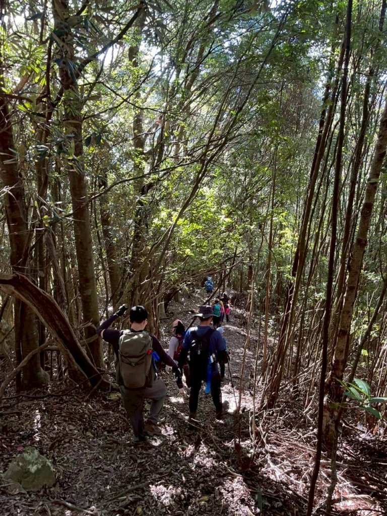 🌈9/21（日）屋東縱走（大雪山進-谷關大道院出）✨FB：熊熊趴爬走 🌈_2892499