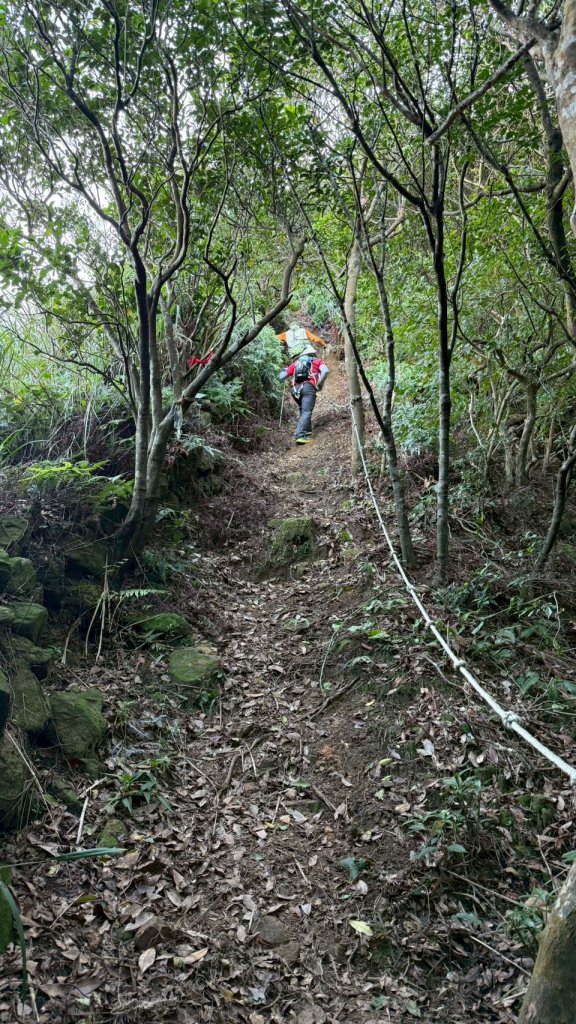 新北 瑞芳 禮樂-保羅尖-雙鬼小霸尖-石梯坑山-半屏瀑布-小錐麓-水管隧道-香巴拉隧道-半屏溪-禮樂_2955600