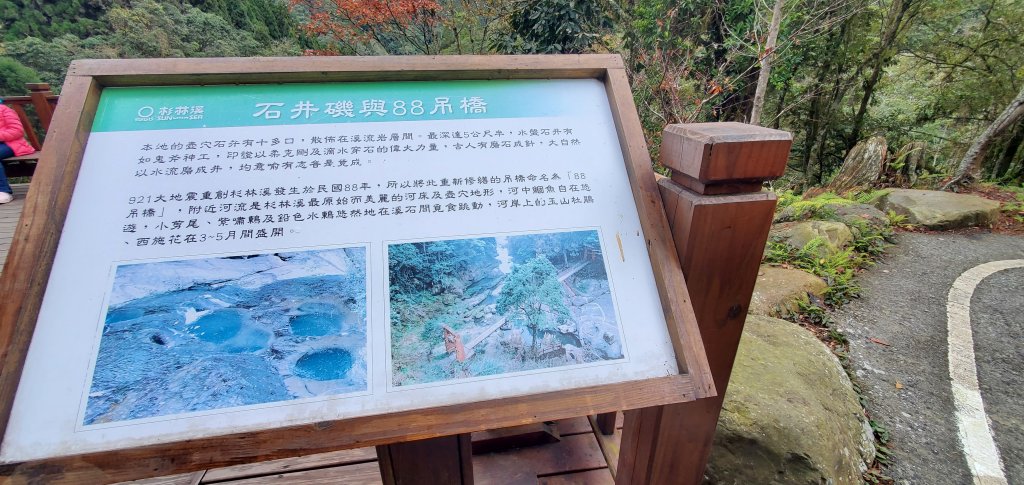 2023-01-01杉林溪青龍蕨類步道(青龍瀑布)、松瀧岩瀑布及天地眼步道_1978836
