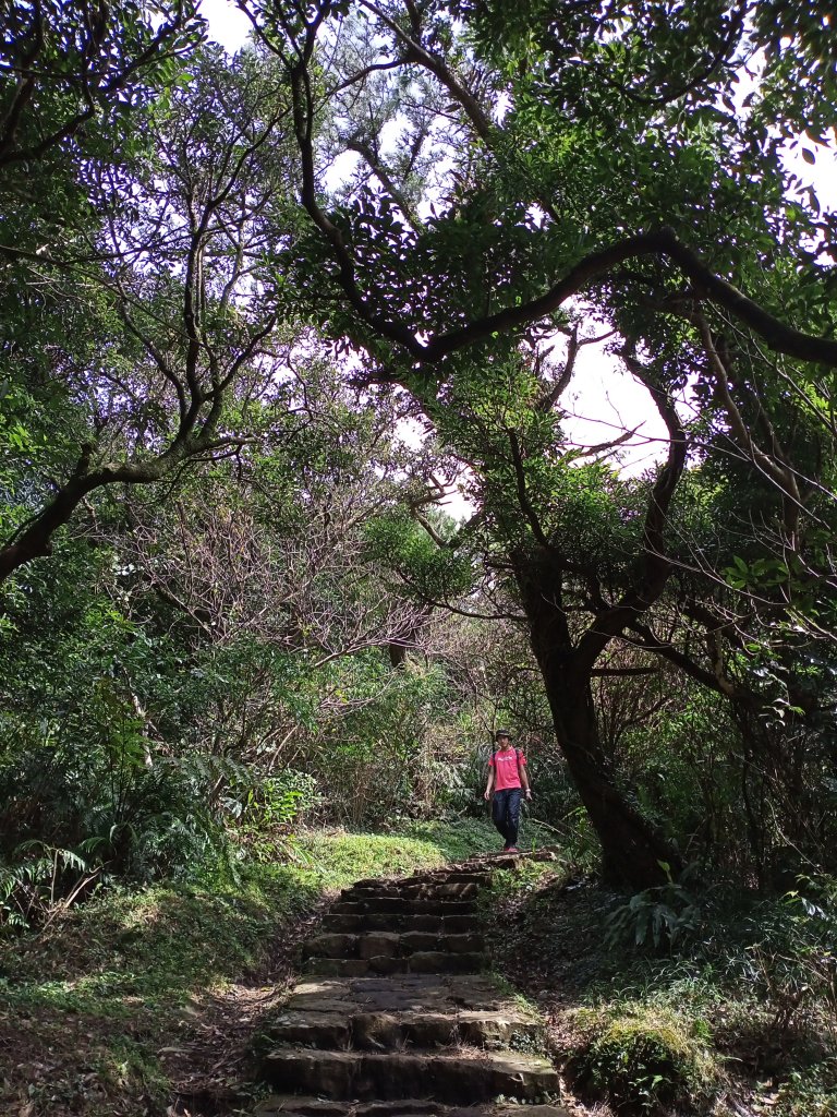 【臺北大縱走 2】鞍部→大屯群峰→清天宮_1276344