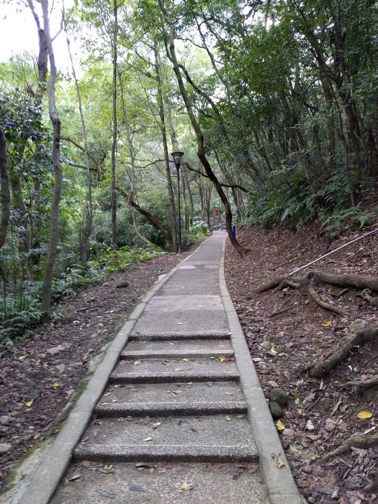 虎頭山-虎嶺迎風步道封面圖