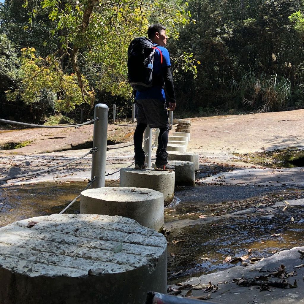 嘉義豐山石夢谷_304918