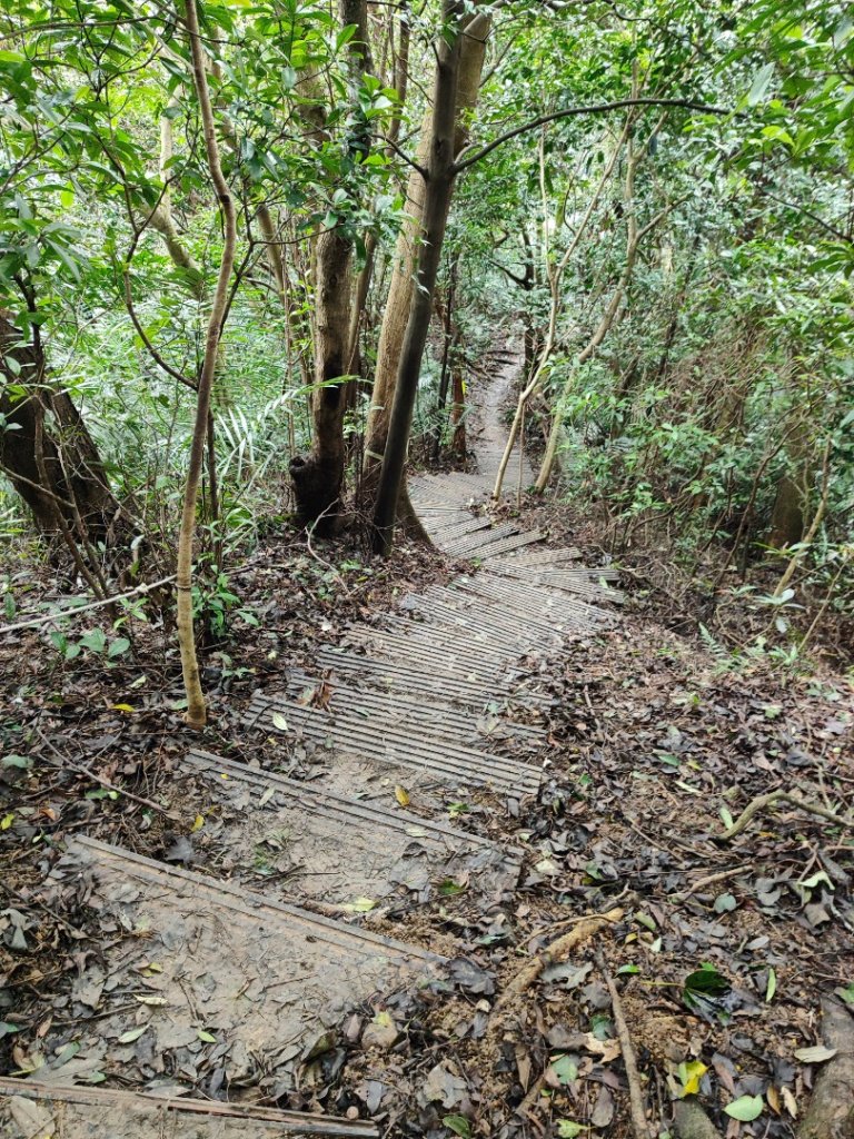 三峽鳶山_2651446