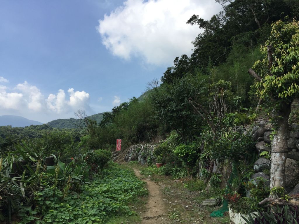 竹子山古道-竹子山微波反射板俗稱北北峰_144711