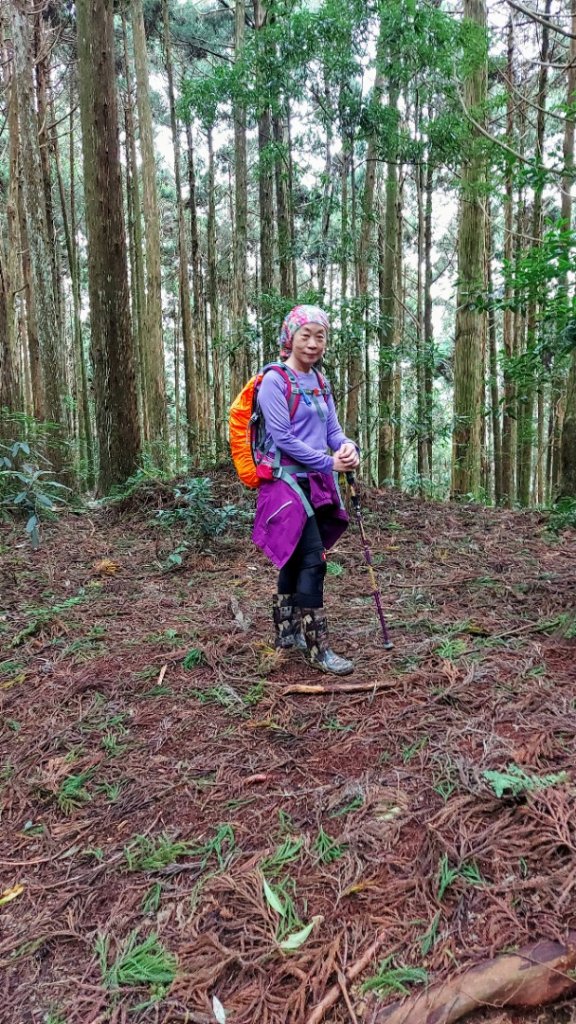 高島縱走20211023_1617897